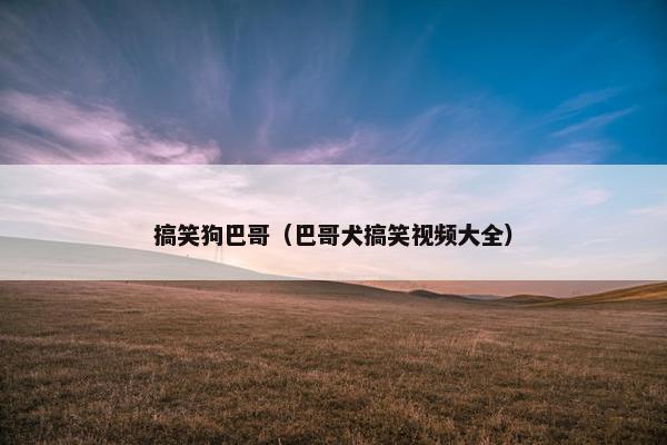 搞笑狗巴哥（巴哥犬搞笑视频大全）
