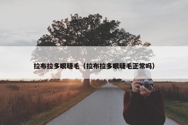 拉布拉多眼睫毛（拉布拉多眼睫毛正常吗）