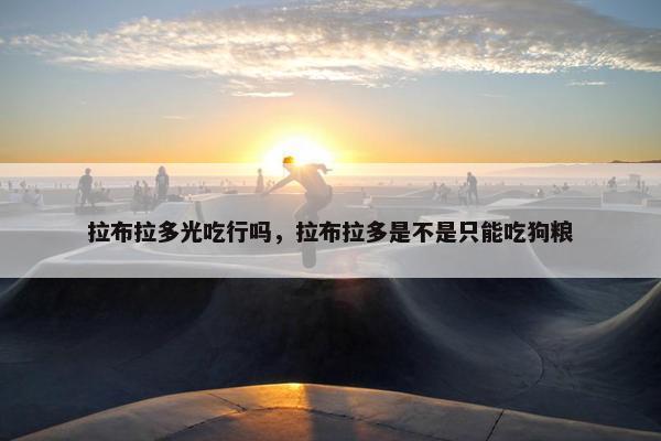 拉布拉多光吃行吗，拉布拉多是不是只能吃狗粮