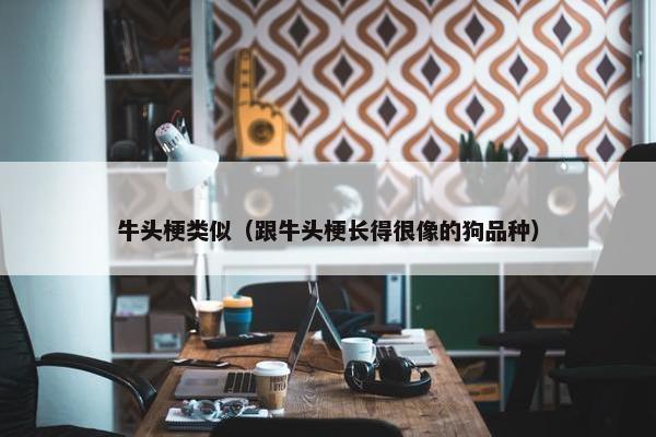 牛头梗类似（跟牛头梗长得很像的狗品种）
