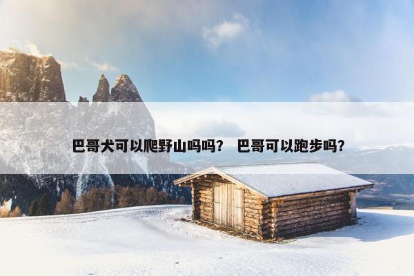 巴哥犬可以爬野山吗吗？ 巴哥可以跑步吗？