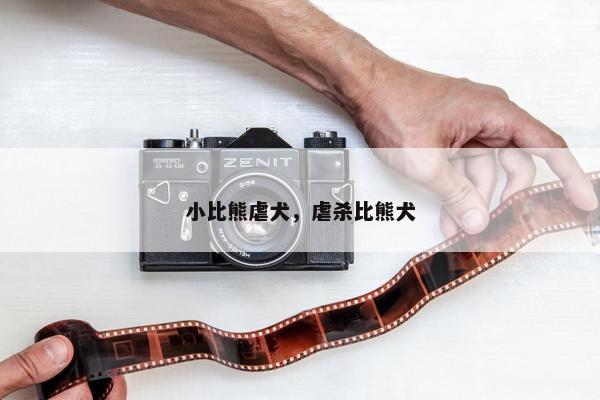 小比熊虐犬，虐杀比熊犬