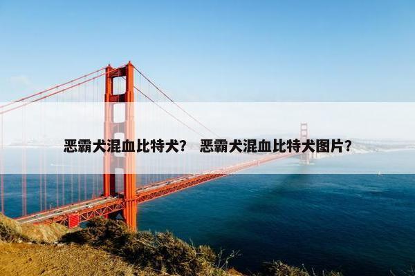 恶霸犬混血比特犬？ 恶霸犬混血比特犬图片？