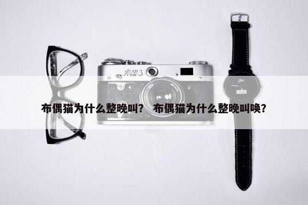 布偶猫为什么整晚叫？ 布偶猫为什么整晚叫唤？