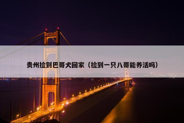 贵州捡到巴哥犬回家（捡到一只八哥能养活吗）