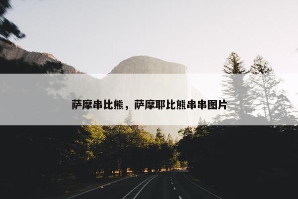 萨摩串比熊，萨摩耶比熊串串图片