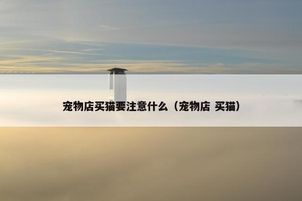 宠物店买猫要注意什么（宠物店 买猫）