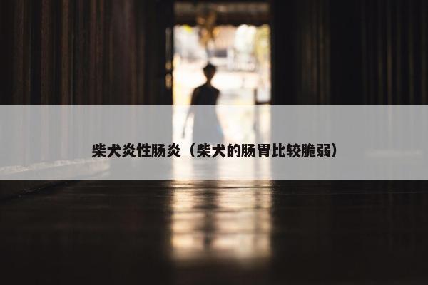 柴犬炎性肠炎（柴犬的肠胃比较脆弱）
