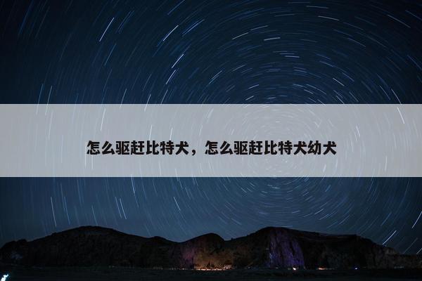 怎么驱赶比特犬，怎么驱赶比特犬幼犬