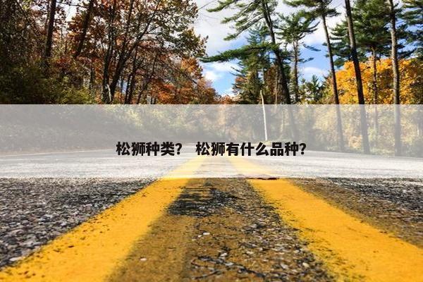 松狮种类？ 松狮有什么品种？