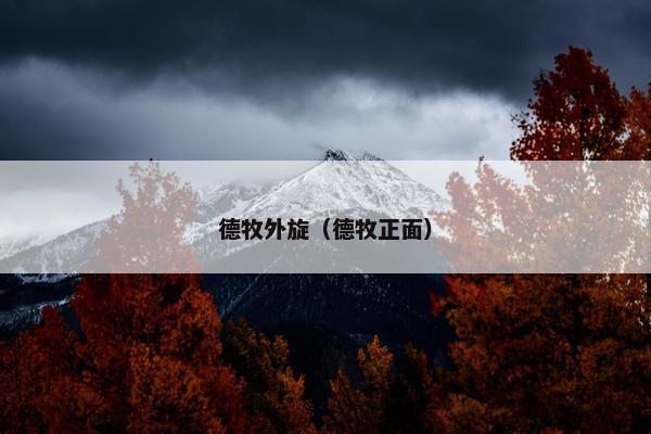 德牧外旋（德牧正面）