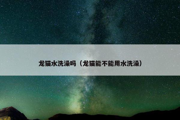 龙猫水洗澡吗（龙猫能不能用水洗澡）