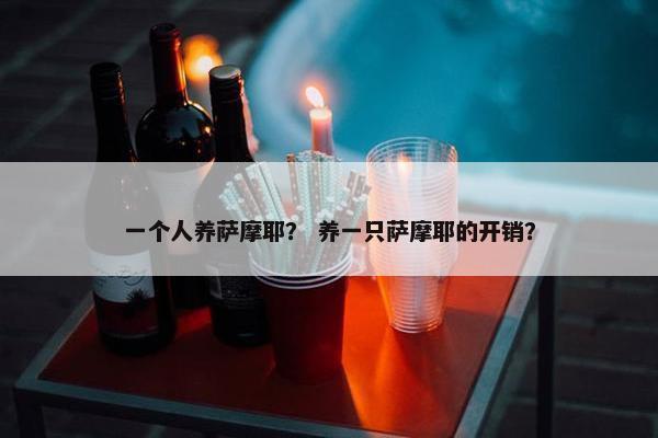一个人养萨摩耶？ 养一只萨摩耶的开销？