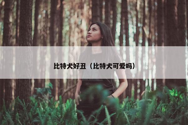 比特犬好丑（比特犬可爱吗）