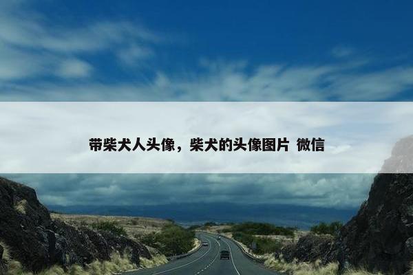 带柴犬人头像，柴犬的头像图片 微信