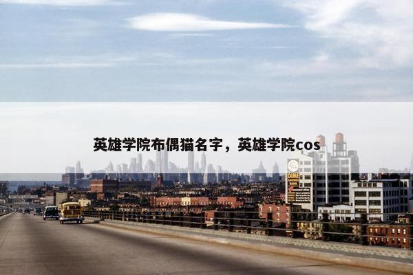 英雄学院布偶猫名字，英雄学院cos