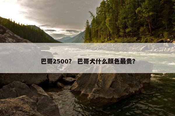 巴哥2500？ 巴哥犬什么颜色最贵？