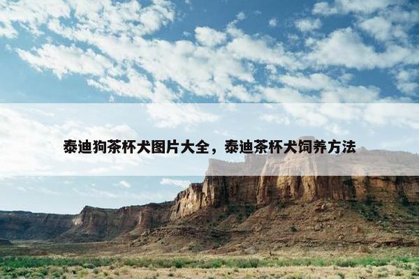 泰迪狗茶杯犬图片大全，泰迪茶杯犬饲养方法