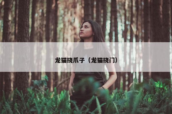 龙猫挠爪子（龙猫挠门）