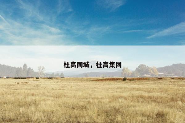 杜高同城，杜高集团