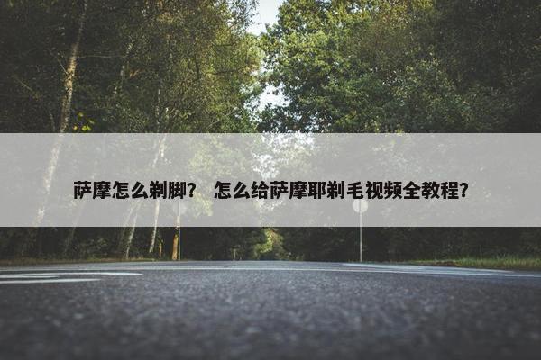 萨摩怎么剃脚？ 怎么给萨摩耶剃毛视频全教程？