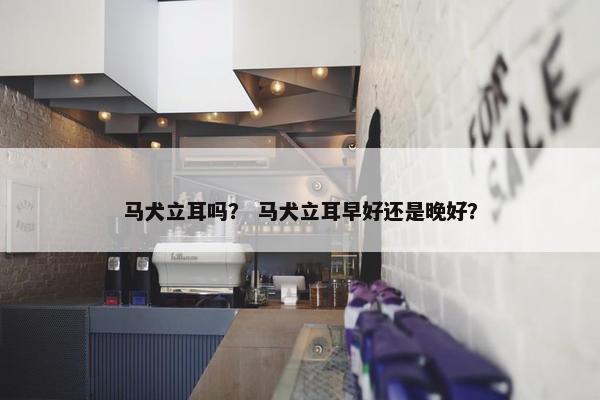 马犬立耳吗？ 马犬立耳早好还是晚好？