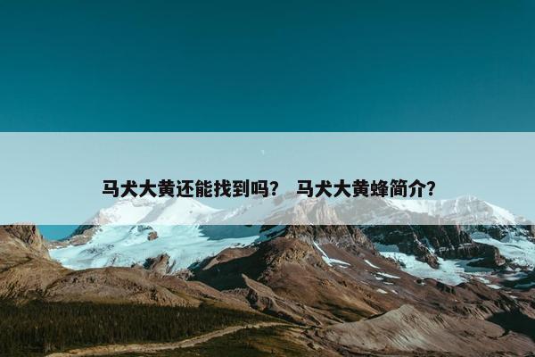 马犬大黄还能找到吗？ 马犬大黄蜂简介？