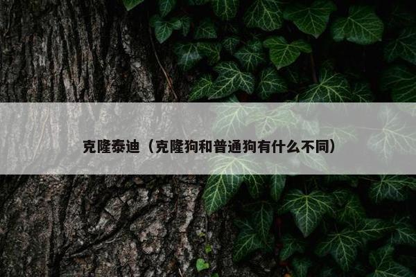 克隆泰迪（克隆狗和普通狗有什么不同）