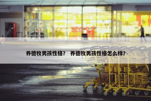 养德牧男孩性格？ 养德牧男孩性格怎么样？