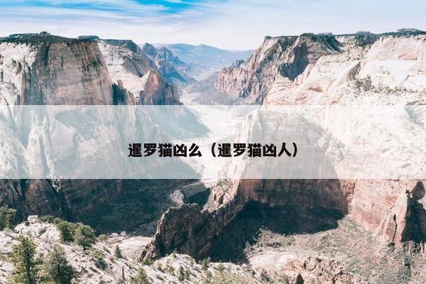 暹罗猫凶么（暹罗猫凶人）