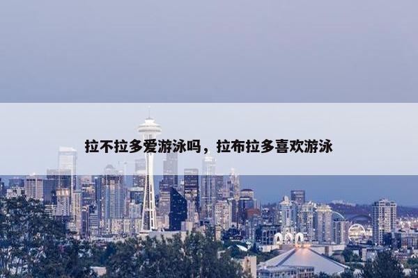 拉不拉多爱游泳吗，拉布拉多喜欢游泳