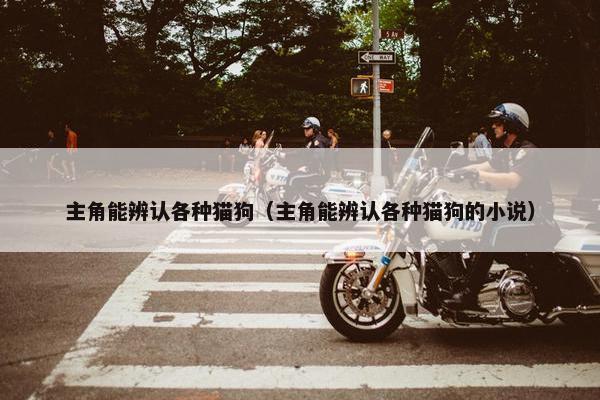 主角能辨认各种猫狗（主角能辨认各种猫狗的小说）