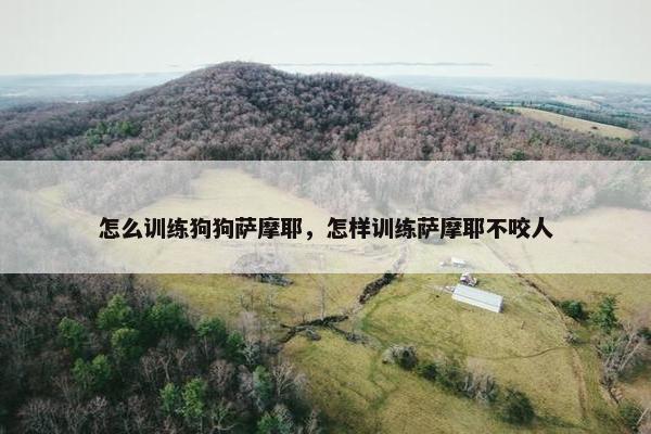 怎么训练狗狗萨摩耶，怎样训练萨摩耶不咬人