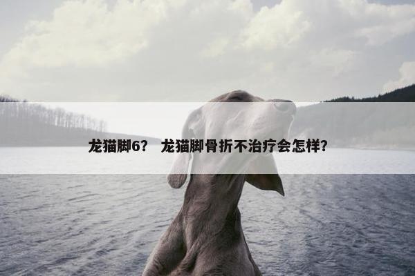 龙猫脚6？ 龙猫脚骨折不治疗会怎样？