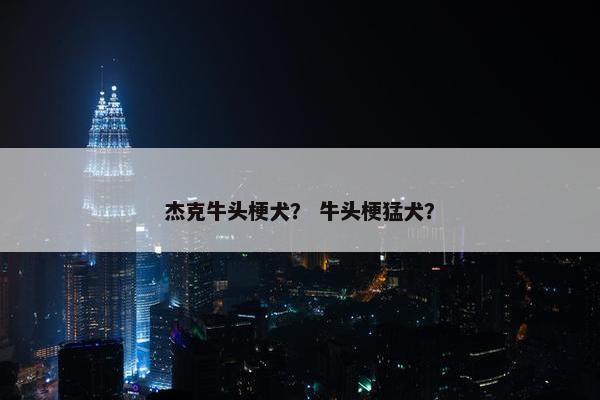 杰克牛头梗犬？ 牛头梗猛犬？