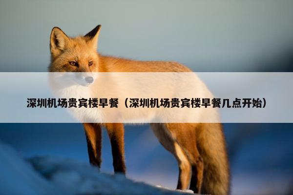 深圳机场贵宾楼早餐（深圳机场贵宾楼早餐几点开始）