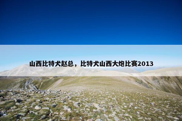 山西比特犬赵总，比特犬山西大炮比赛2013