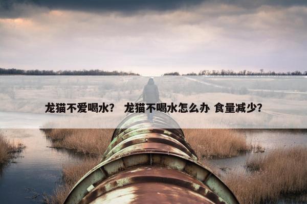 龙猫不爱喝水？ 龙猫不喝水怎么办 食量减少？