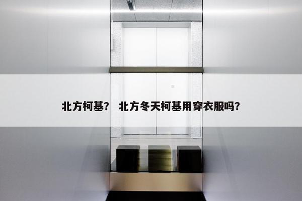 北方柯基？ 北方冬天柯基用穿衣服吗？