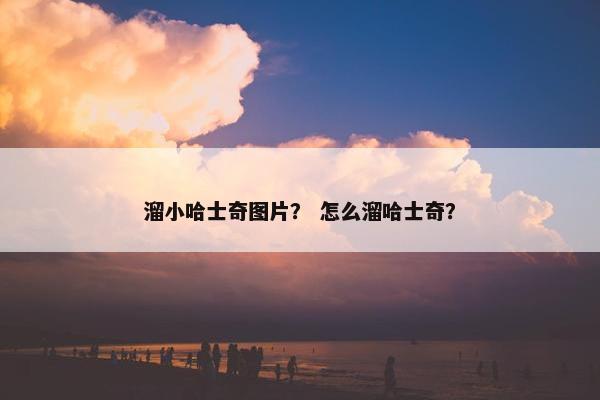 溜小哈士奇图片？ 怎么溜哈士奇？