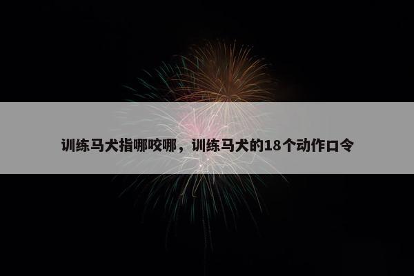 训练马犬指哪咬哪，训练马犬的18个动作口令