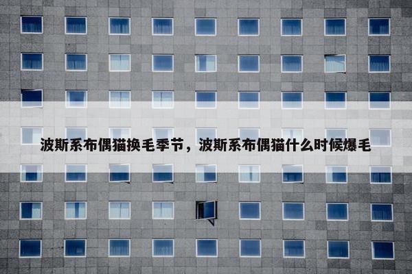 波斯系布偶猫换毛季节，波斯系布偶猫什么时候爆毛