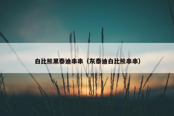 白比熊黑泰迪串串（灰泰迪白比熊串串）