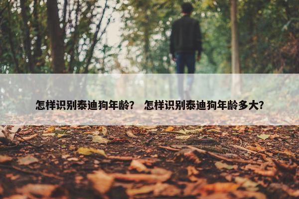 怎样识别泰迪狗年龄？ 怎样识别泰迪狗年龄多大？