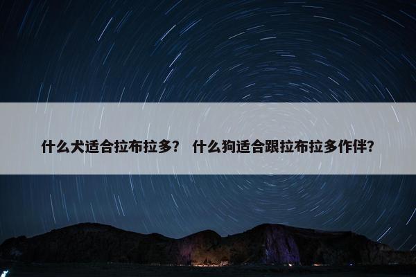 什么犬适合拉布拉多？ 什么狗适合跟拉布拉多作伴？