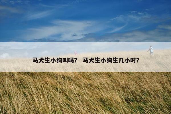 马犬生小狗叫吗？ 马犬生小狗生几小时？