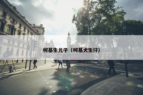 柯基生儿子（柯基犬生仔）