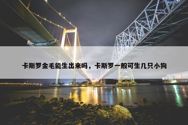 卡斯罗金毛能生出来吗，卡斯罗一般可生几只小狗