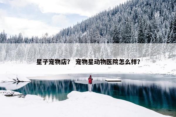 星子宠物店？ 宠物星动物医院怎么样？