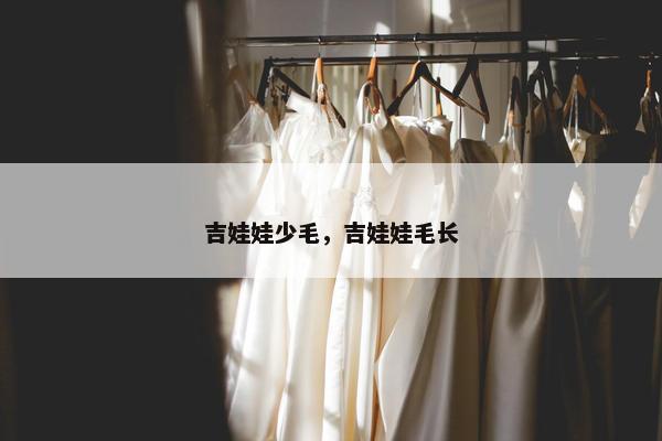吉娃娃少毛，吉娃娃毛长
